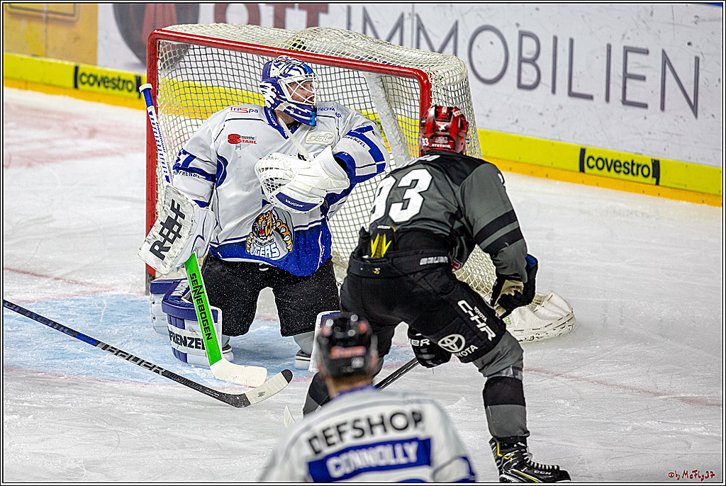 DEL; Koelner Haie - Straubing Tigers, 02.12.2018